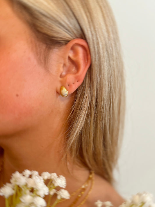 Shelly Stud Earrings